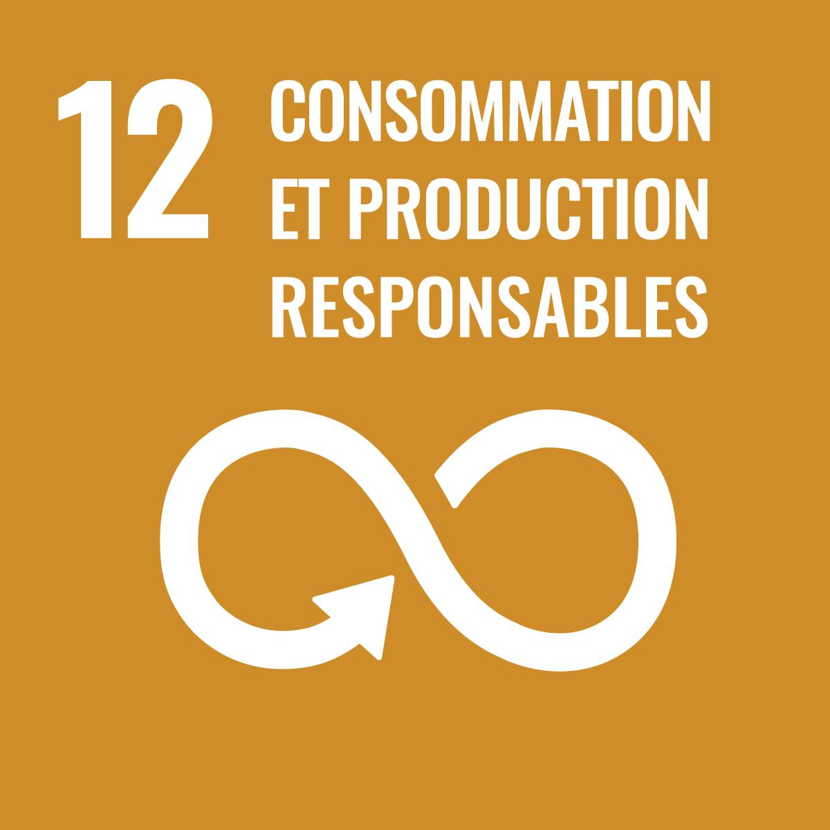 consommation et production responsable