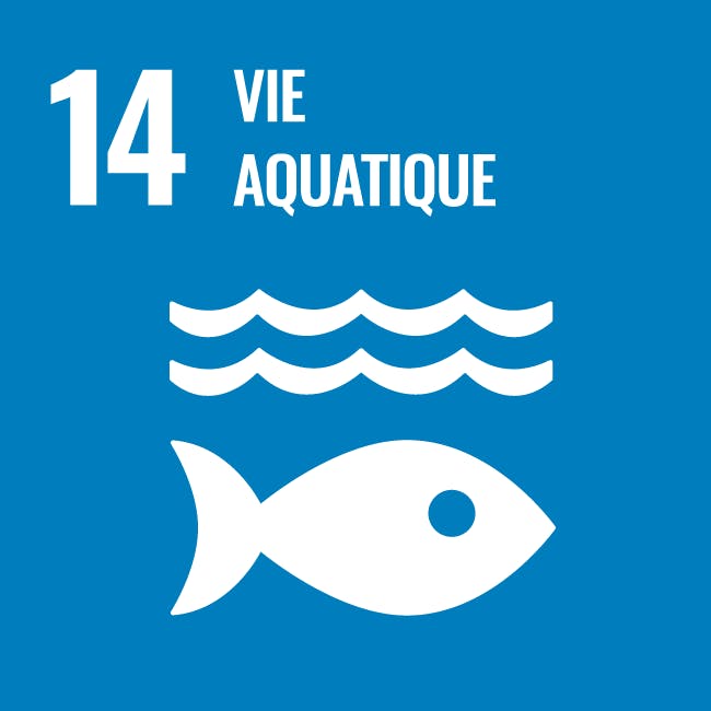 vie aquatique