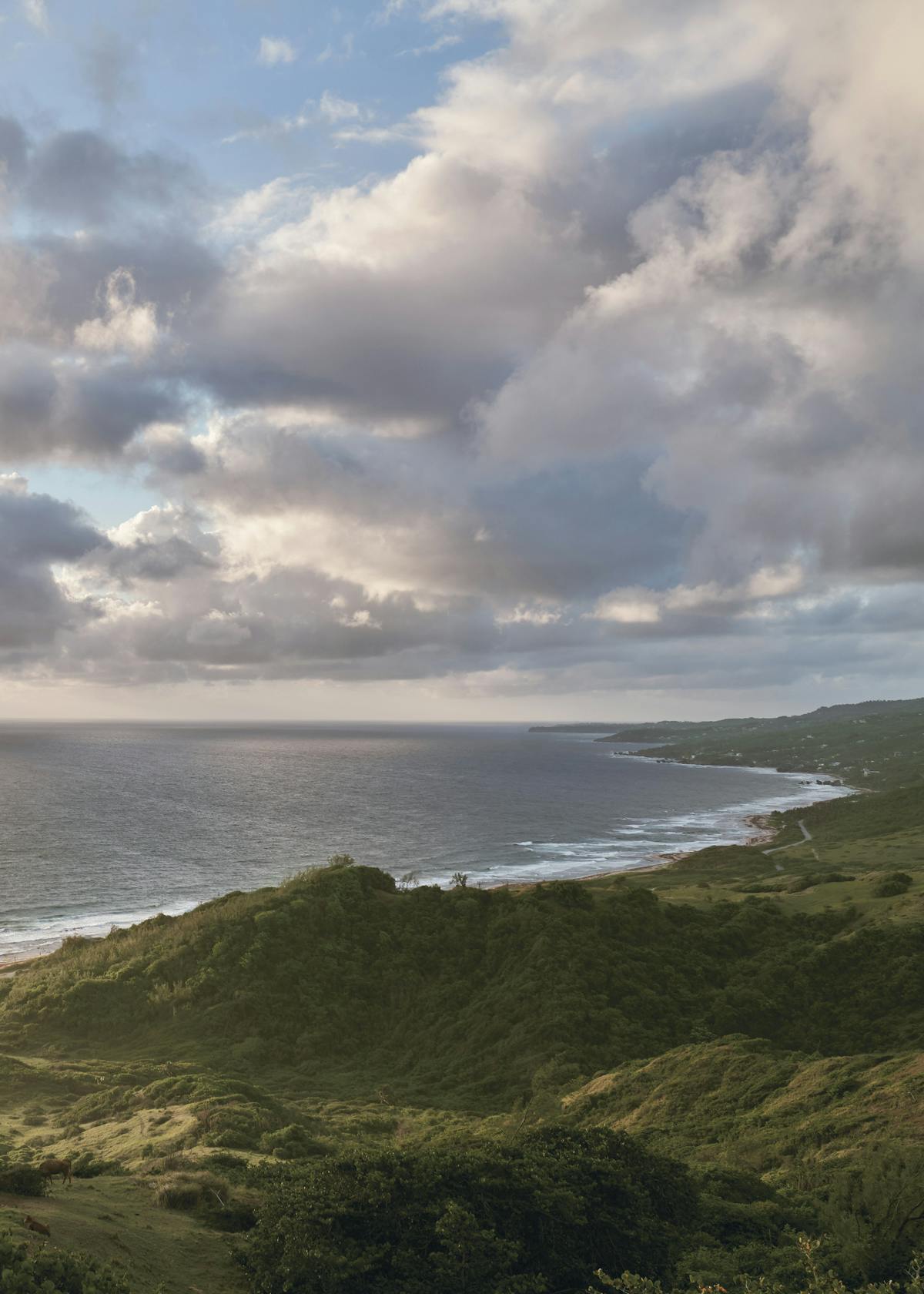 Illustration Mount Gay Birthplace - Barbados East 