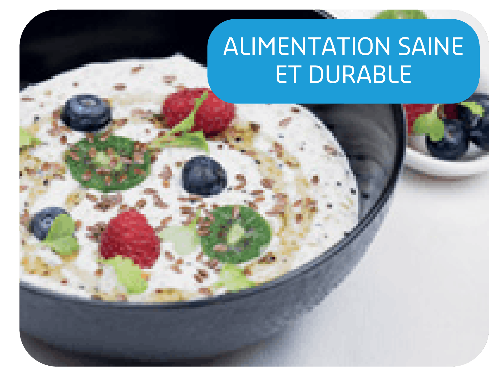 Alimentation saine et durable