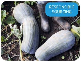 Responsible sourcing