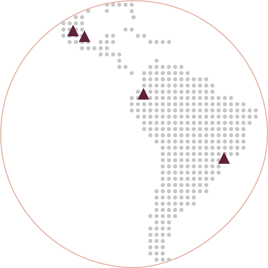 Amérique Latine: 2 usines produits grand publics