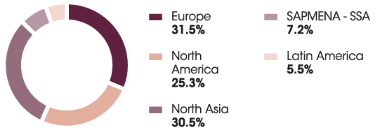 This diagram shows the breakdown of sales by geographical zone.