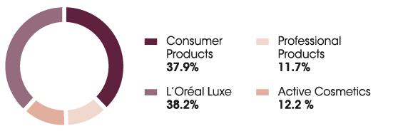 This diagram shows the breakdown of sales by operational division.