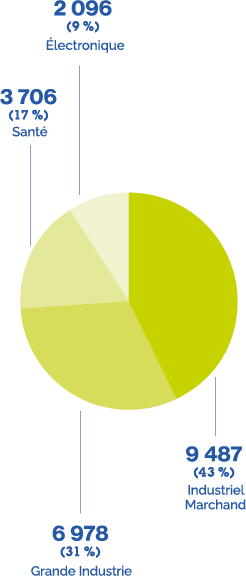 Électronique: 2 096(9%), Santé: 3 706(17%), Grande Industrie: 6 978(31%), Industriel Marchand: 9 487(43%)