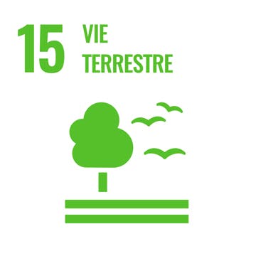 15. Vie terrestre