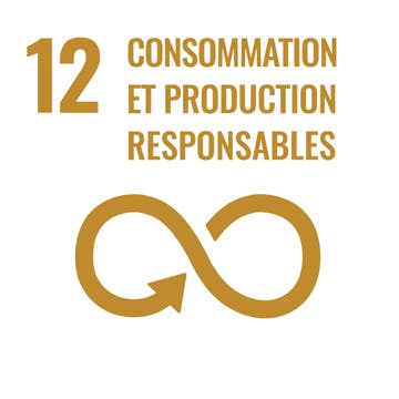 12. Consommation et production responsables