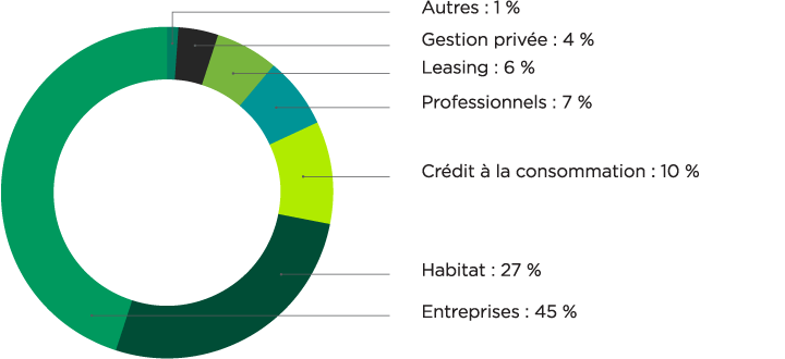 Autres : 1 %, Gestion privée : 4 %, Leasing : 6 %, Professionnels : 7 %, Crédit à la consommation : 10 %, Habitat : 27 %, Entreprises : 45 %