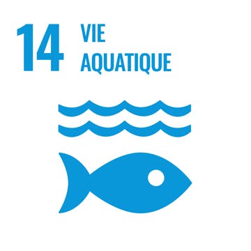 14. Vie aquatique