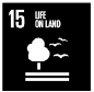 15 - Life on land