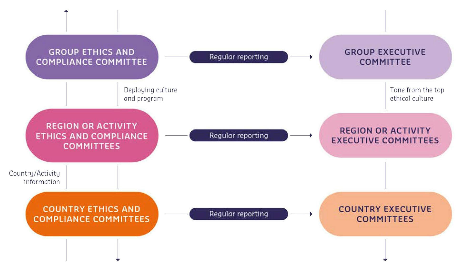 This flowchart shows the Ethics and Compliance Governance