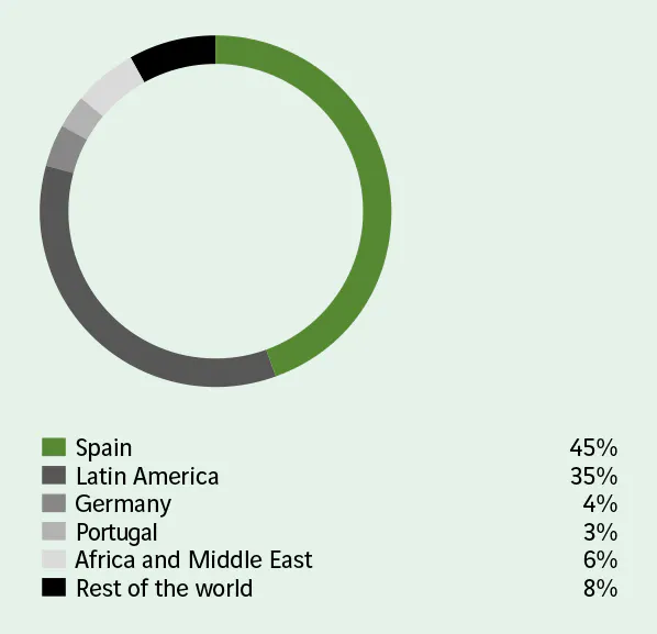  Spain 45%  Latin America 35%  Germany 4%  Portugal 3%  Africa and Middle East 6%  Rest of the world 8%