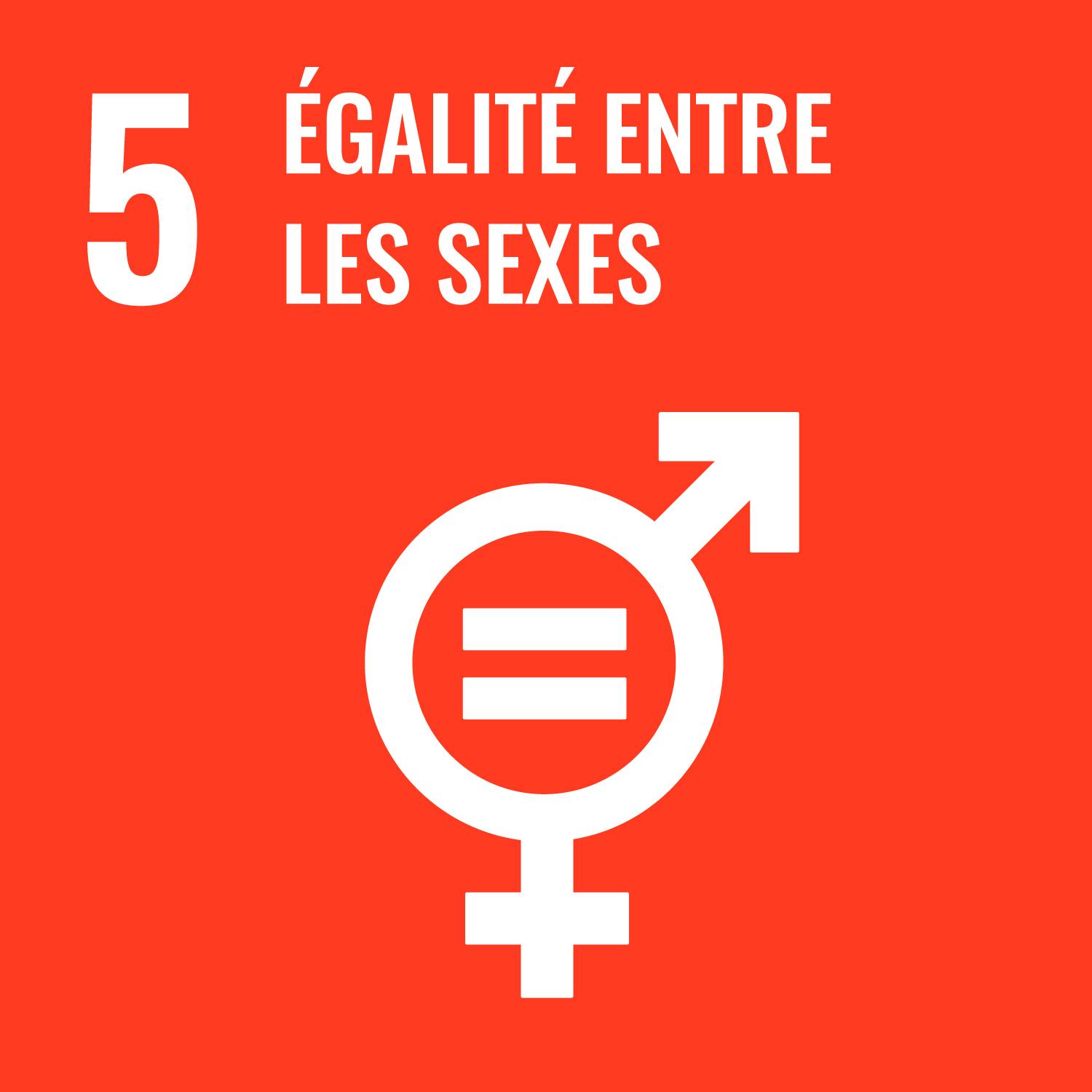 5 - Égalité entre les sexes
