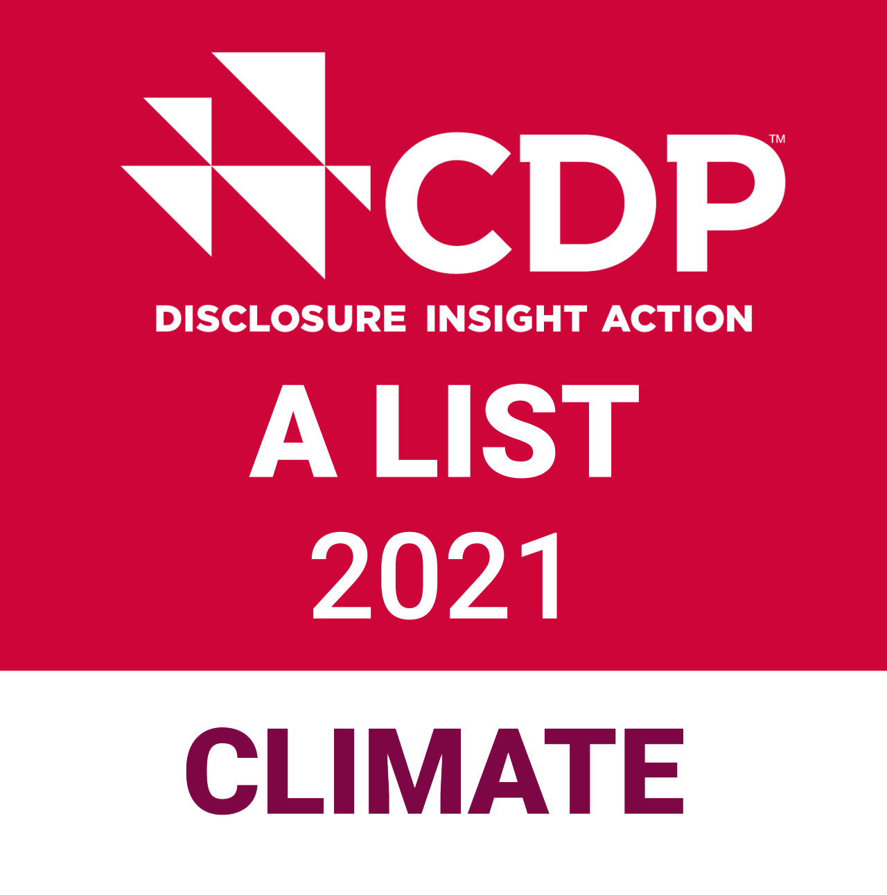 LOGO : CDP DISCLOSURE INSIGHT ACTION ALIST 2021 CLIMATE
