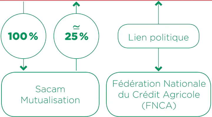 39 caisses r&eacute;gionales d&eacute;tiennent 100 % du capital de Sacam Mutualisation.  Sacam Mutualisation d&eacute;tient 25 % du capital de 39 caisses r&eacute;gionales.  Il y a un lien politique entre la F&eacute;d&eacute;ration nationale du Cr&eacute;dit Agricole (FNCA) et les 39 Caisses r&eacute;gionales de Cr&eacute;dit Agricole S.A.