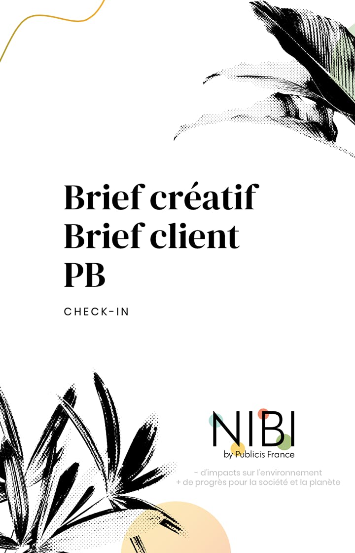 Brief créatif, Brief client, PB