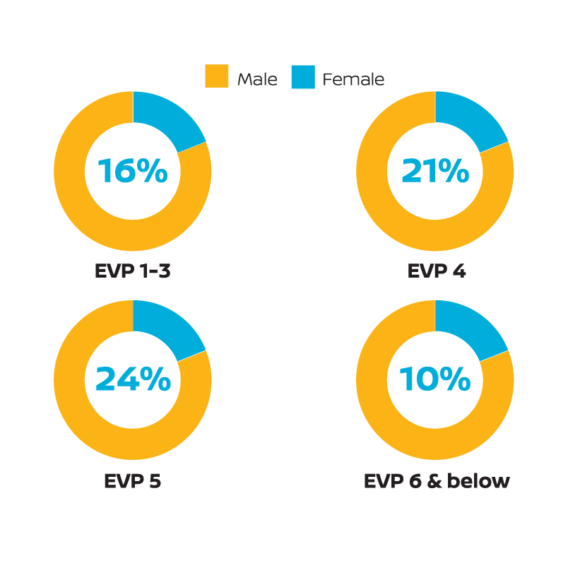 These diagrams show the percentage of Executive Vice President level by Gender. EVP 1 to 3. Male: 84%. Female: 16%. EVP 4. Male: 79%. Female: 21%. EVP 5. Male: 76%. Female: 24%. EVP 6 & below. Male: 90%. Female: 10%.