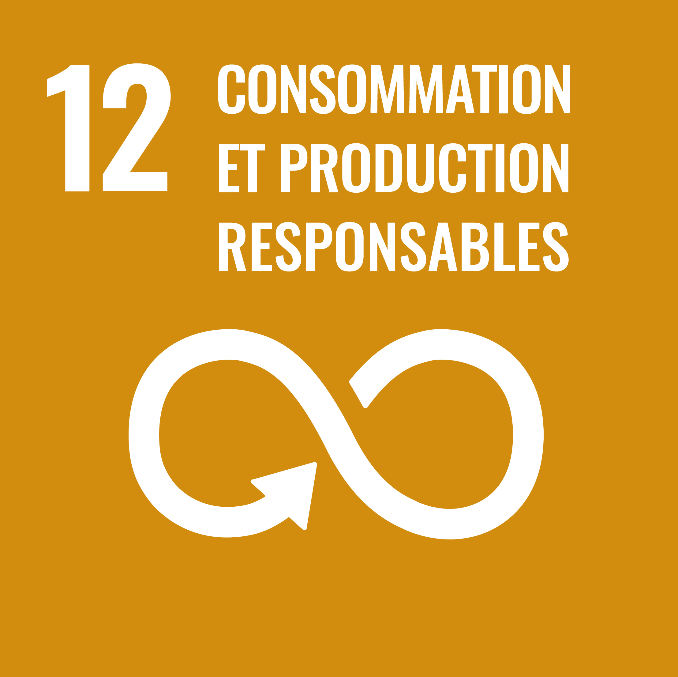 Objectif: 12 consommation et production responsables