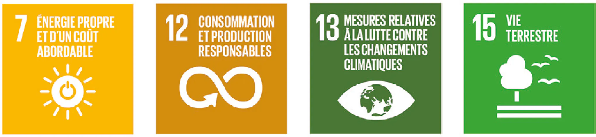 7 - &Eacute;nergie propre et d'un co&ucirc;t abordable. 12 - Consommation et production responsables. 13 - Lutte contre les changements climatiques. 15 - Vie terrestre.