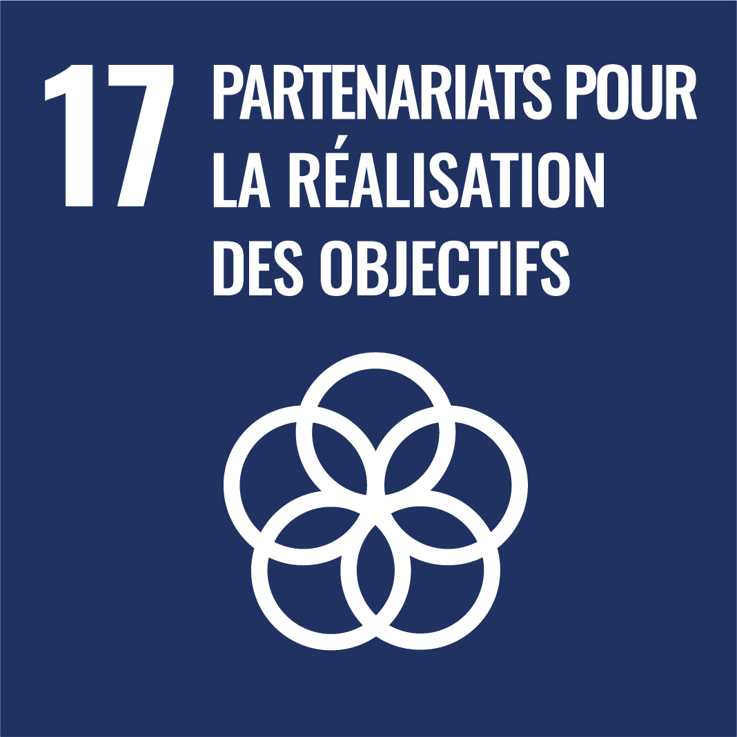 17. Partenariats pour la réalisation des objectifs