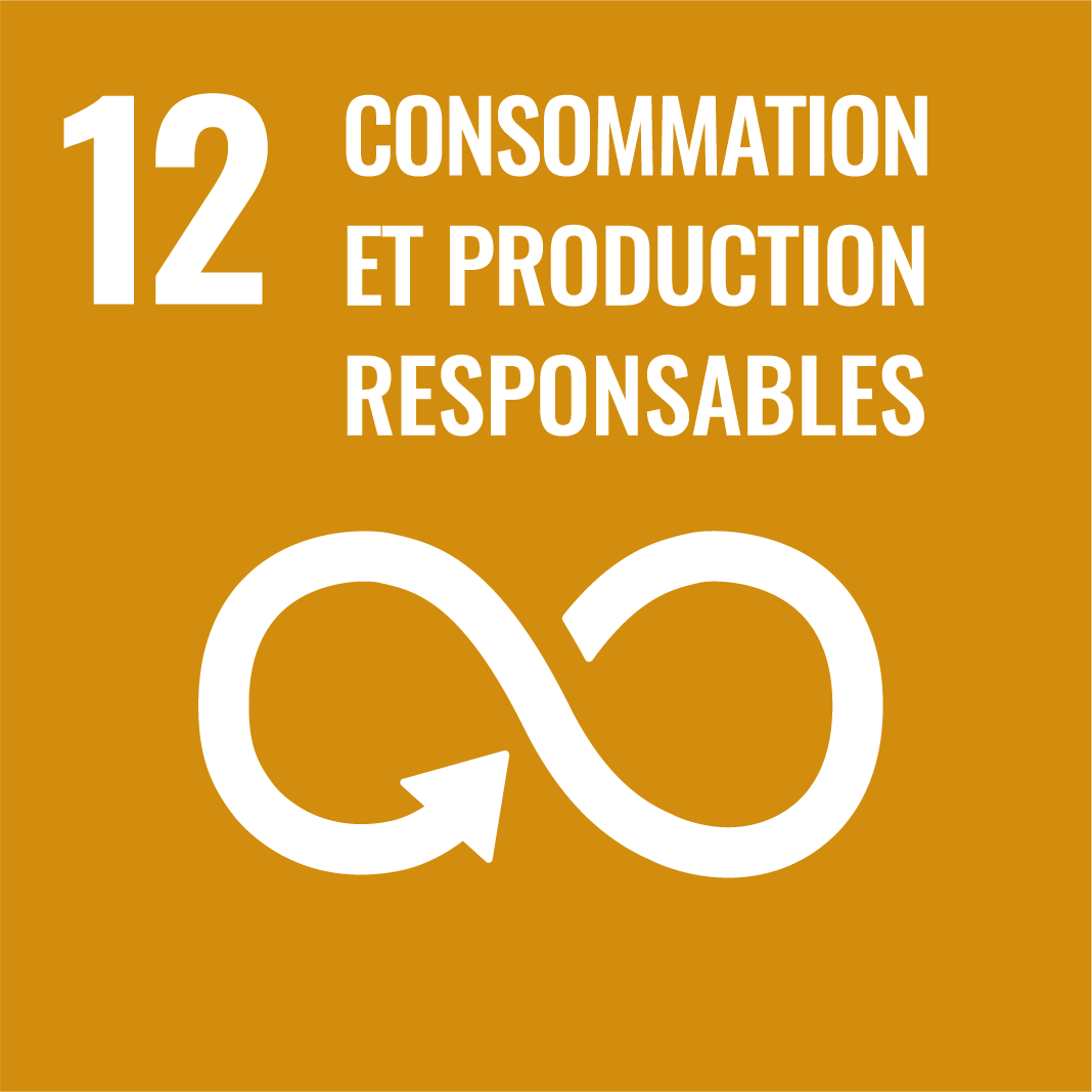 12. Consommation et production responsables