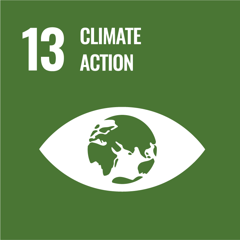 13. Climate action