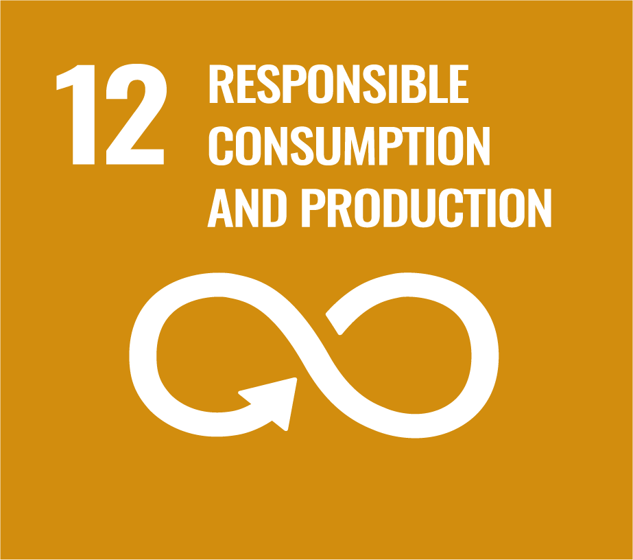 12. Responsable consumption and production