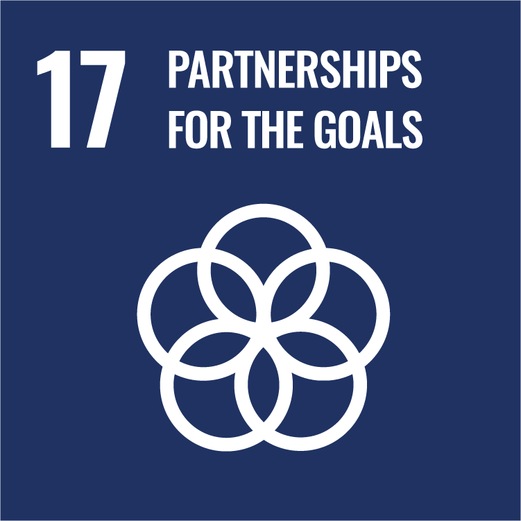 17. Partnerships for the goals
