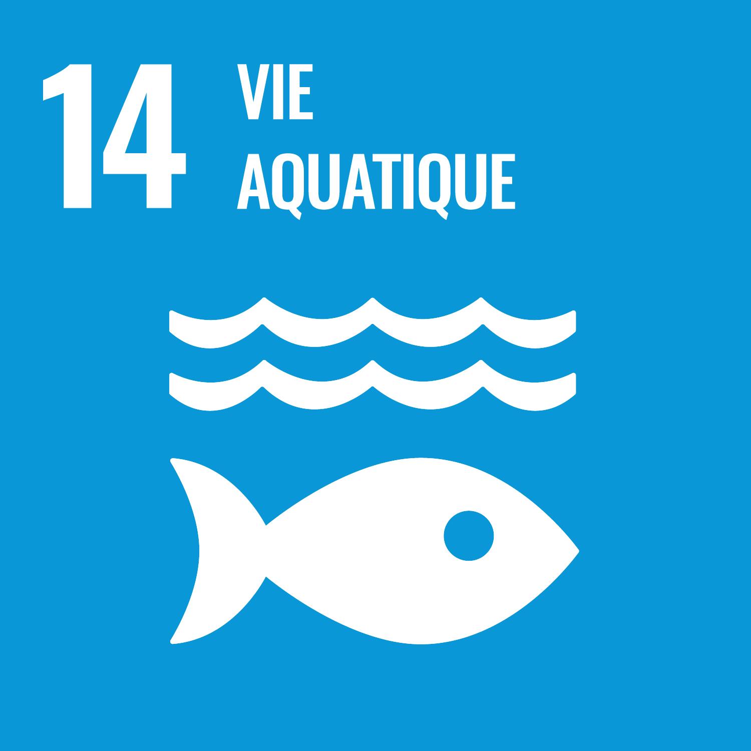 14, Vie aquatique.