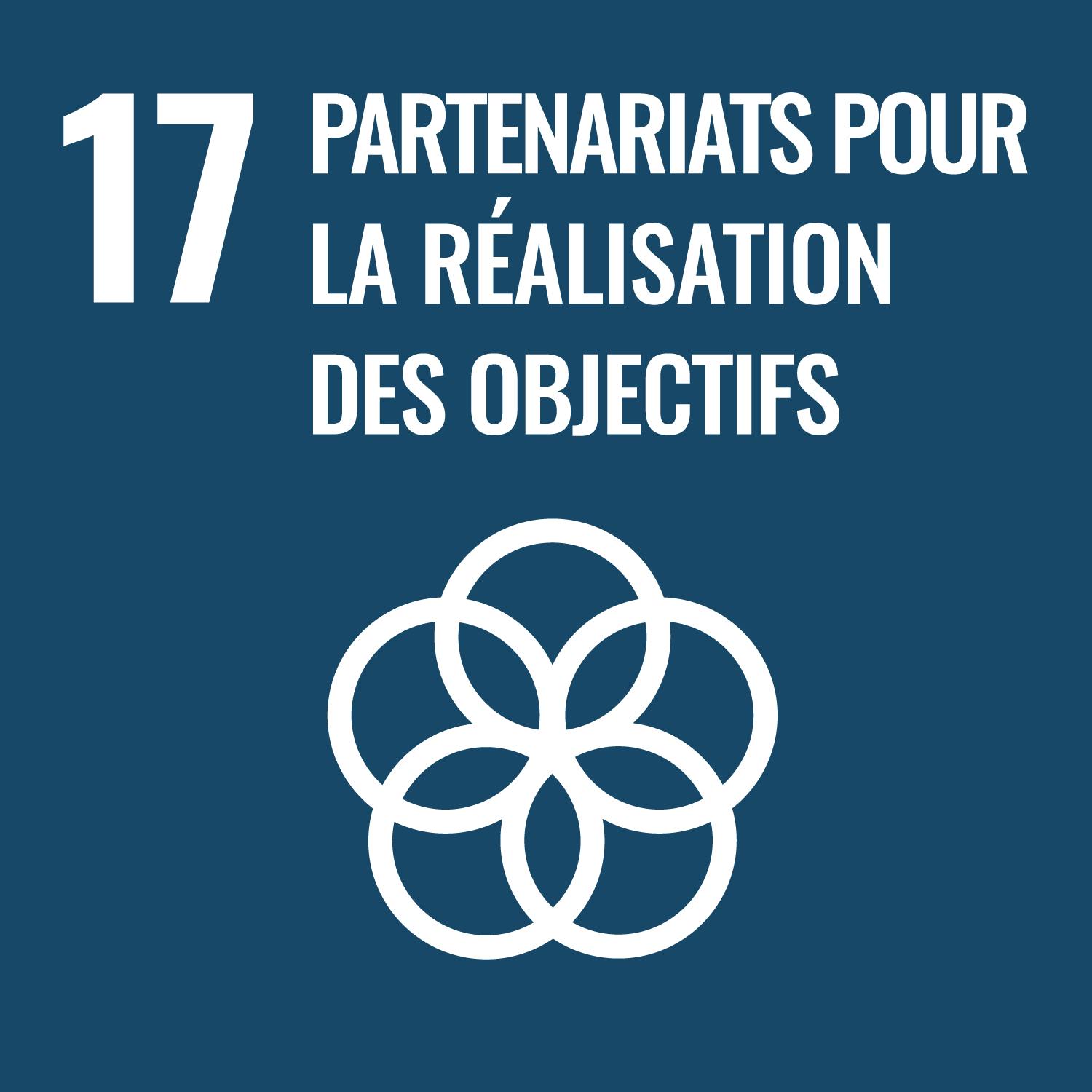 17, Partenariates pour la r&eacute;alisation des objectifs.