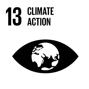 13: climate action