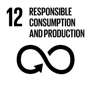 12: Resoinsible consumption and production