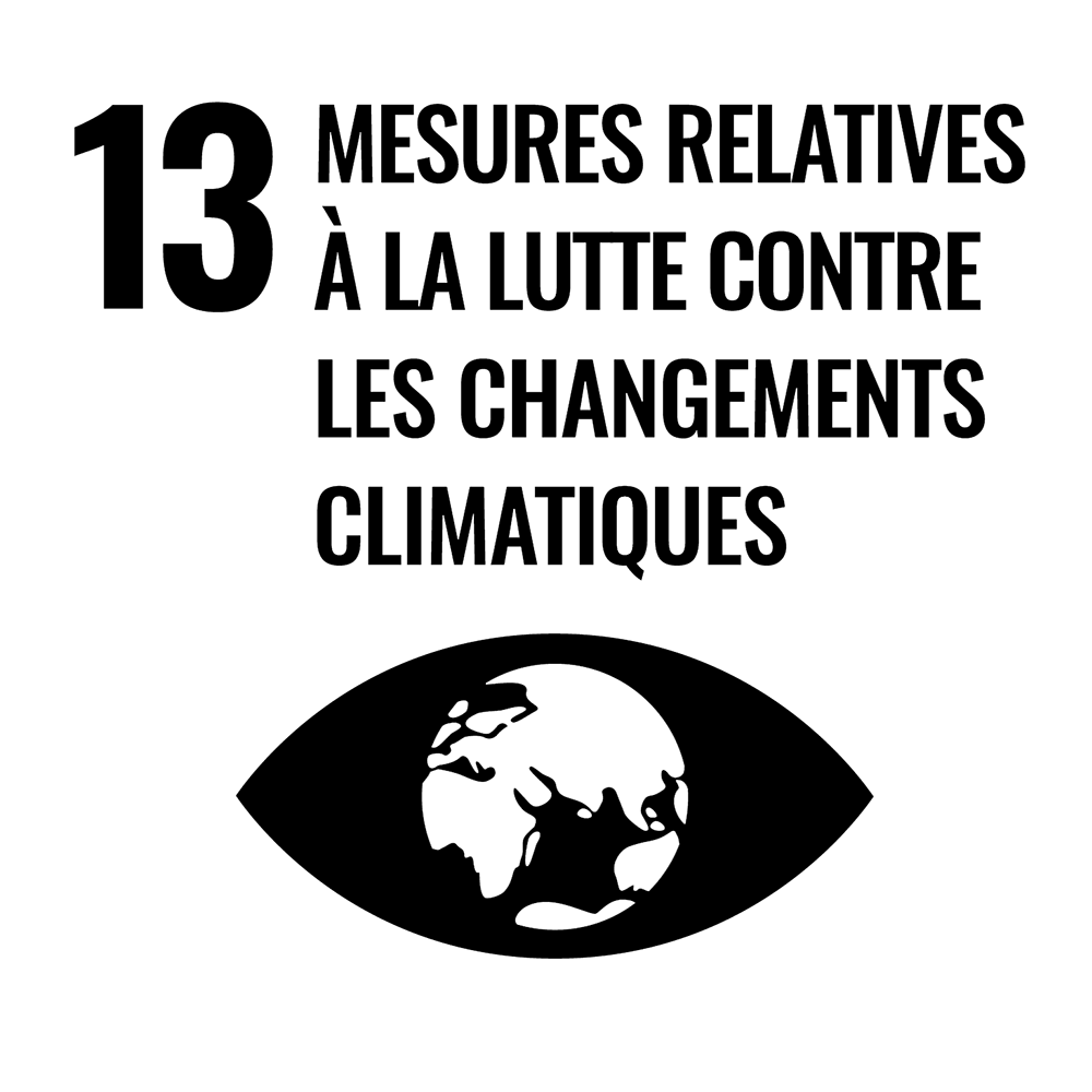 MESURES RELATIVES À LA LUTTE CONTRE LES CHANGEMENTS CLIMATIQUES