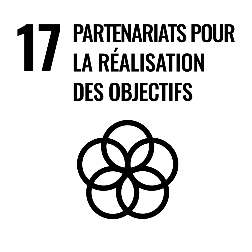 PARTENARIATS POUR LA RÉALISATION DES OBJECTIFS