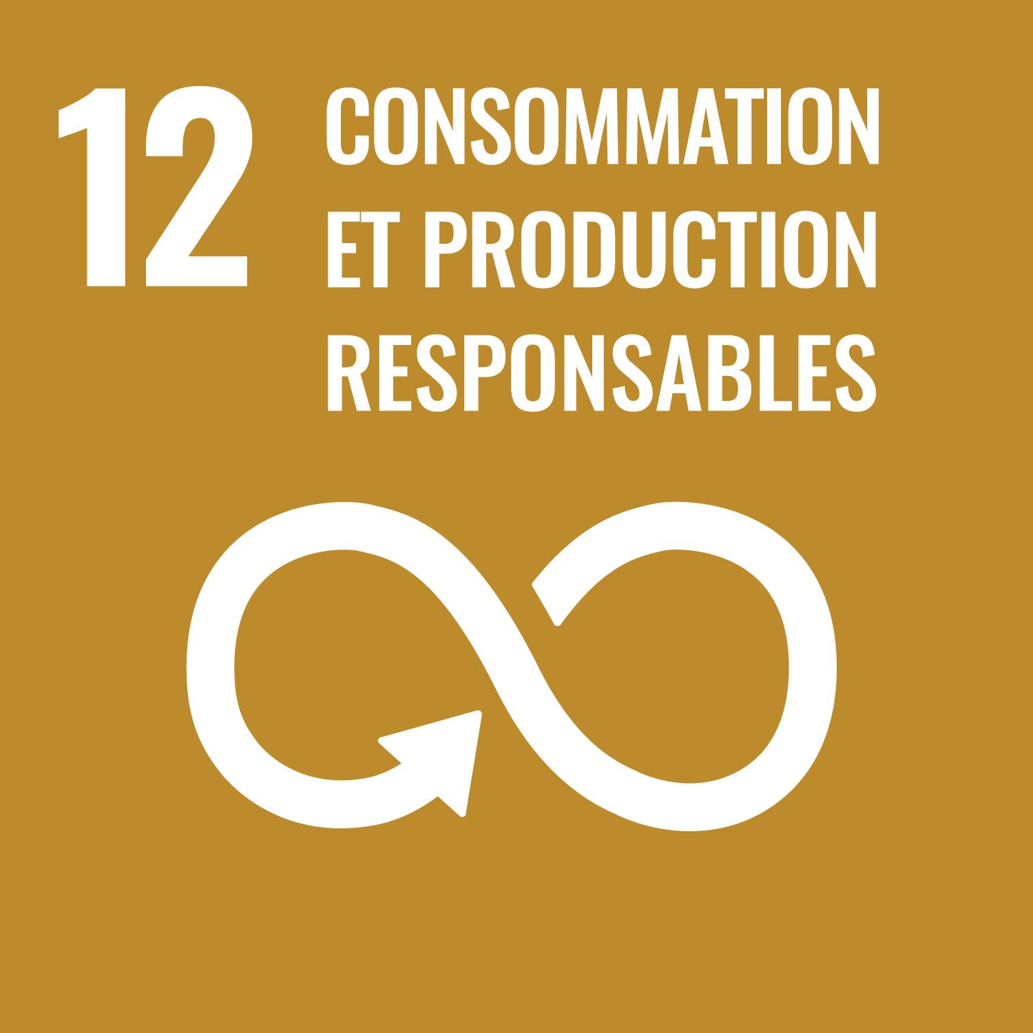 Ic&ocirc;ne ODD 12, fond ocre, avec un symbole de cycle infini et le texte &laquo; 12 &ndash; Consommation et production responsables &raquo;.