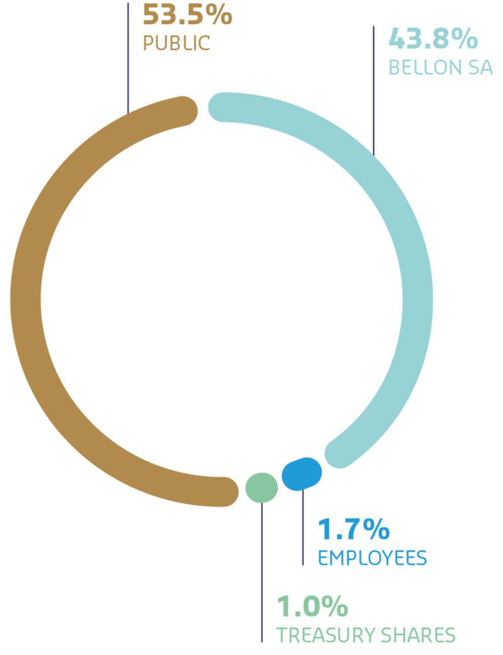 This image provides an overview of the company's capital structure and the distribution of voting rights: Capital Structure: 53.5% Public: A large portion of ownership is held by the public. 43.8% Bellon SA: The majority shareholder. 1.7% Employees, 1.0% Self-Holding: Small shares held by employees and the company itself.