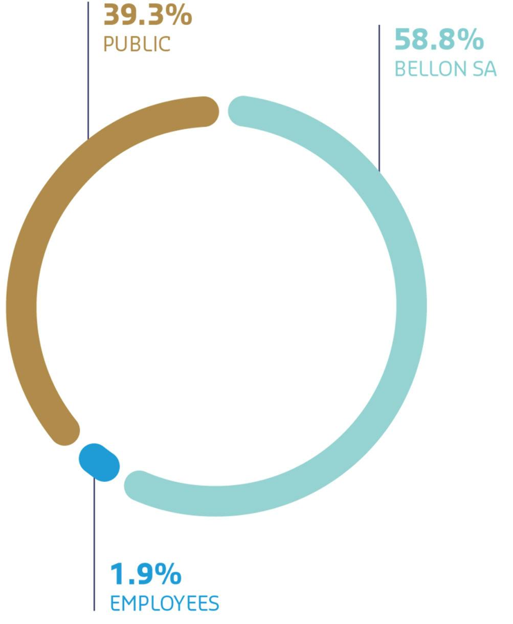 Distribution of Voting Rights: 39.3% Public: Public shareholders hold a portion of the voting rights. 58.8% Bellon SA: The majority of voting rights are controlled by Bellon SA. 1.9% Employees: Employees hold a small portion of the voting rights.